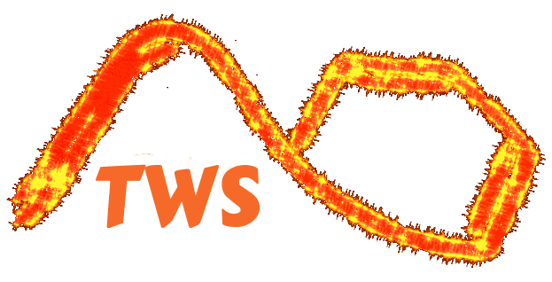 TeraChem Web Services logo